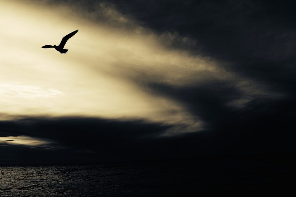 Quotes About Being Resilient Sira Masetti